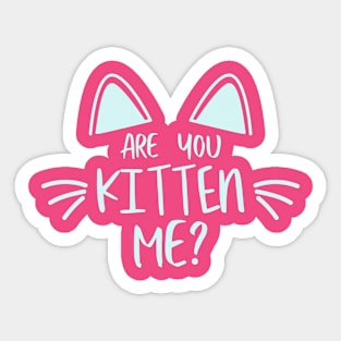 Are you kitten me? Sticker